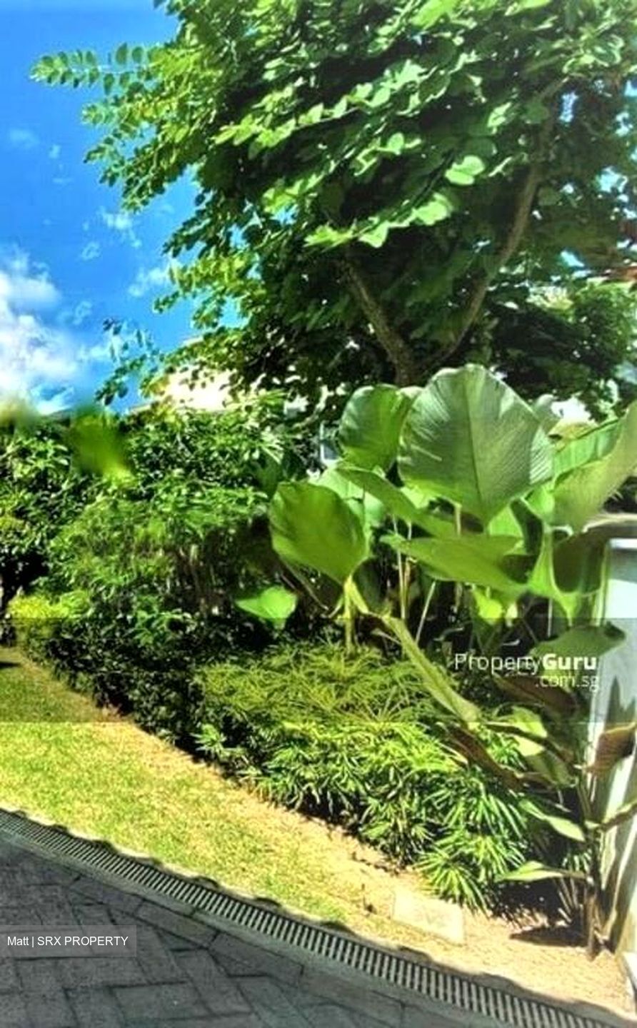 Serangoon Garden Estate (D19), Detached #460691821